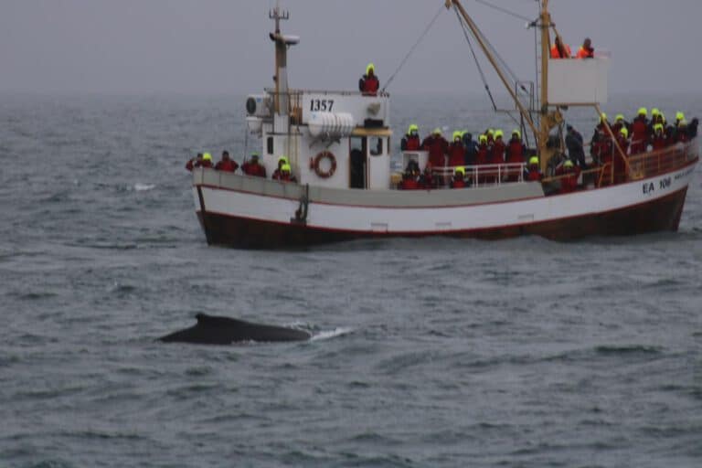 AIDAluna – Reisebericht Tag 7: Akureyri